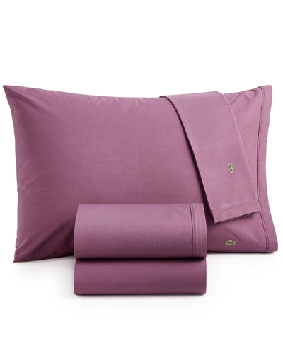 Lacoste Home Solid Cotton Percale Sheet Set, Twin In Plum
