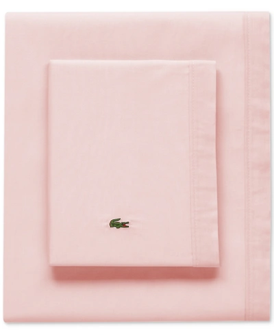 Lacoste Home Solid Cotton Percale Sheet Set, Queen In Iced Pink