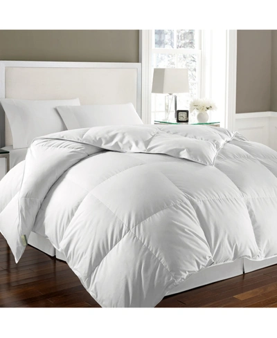 Kathy Ireland Essentials White Goose Feather & Down Comforter, Full/queen