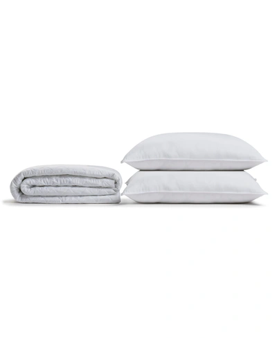 Ella Jayne Allergy Free Bundle, Overstuffed Plush Filled Side Back Sleeper Pillow And Dust Mite Free Mattress P In White