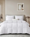 BEAUTYREST WHITE FEATHER & DOWN FIBER ALL SEASON LYOCELL COTTON BLEND COMFORTER, FULL/QUEEN