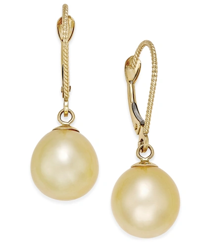 Macy's Cultured Oval Golden South Sea Pearl (9mm) Drop Earrings In 14k Gold In Yellow Gold