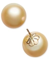 Macy's Cultured Golden South Sea Pearl (13mm) Stud Earrings In 14k Gold In Yellow Gold