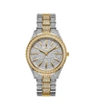 Jbw Women's Cristal Diamond (1/8 Ct. T.w.) Watch In 18k Gold-plated Two Tone Stainless-steel Watch 38mm In Silver