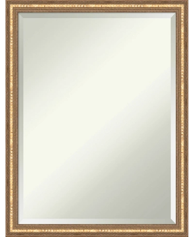 Amanti Art Dixie Rustic 18x22 Wall Mirror