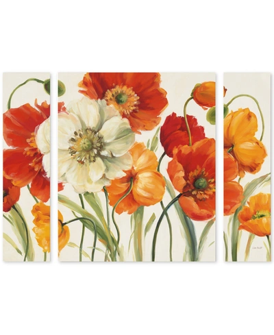 Trademark Global Lisa Audit 'poppies Melody I' Multi Panel Art Set Large In No Color