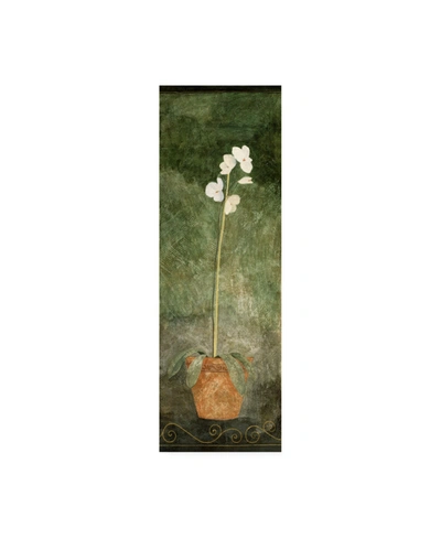 Trademark Global Pablo Esteban White Orchid In Pot On Green Canvas Art In Multi