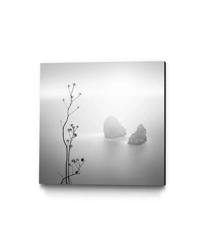 Giant Art 30" X 30" Misty Rocks Museum Mounted Canvas Print In Gray