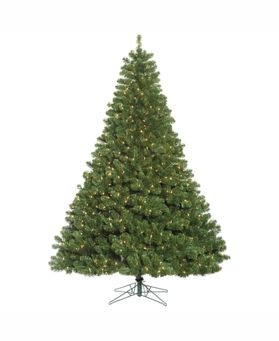 Vickerman 7.5 Ft Oregon Fir Artificial Christmas Tree