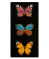 Ready2hangart Butterfly Trio I Wrapped Canvas Wall Art By Norman Wyatt In Multicolor