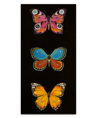 Ready2hangart Butterfly Trio I Wrapped Canvas Wall Art By Norman Wyatt In Multicolor