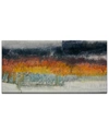 READY2HANGART , 'FIELDS' ABSTRACT CANVAS WALL ART, 30X60"