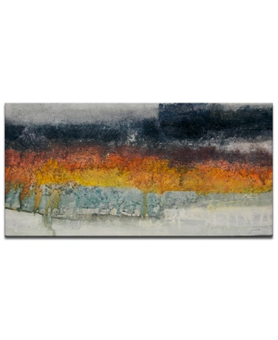 Ready2hangart , 'fields' Abstract Canvas Wall Art, 30x60" In Multi