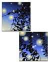 Ready2hangart 'fire Bugs I/ii' 2 Piece Canvas Wall Art Set, 20x40" In Multi
