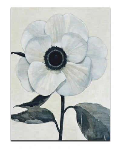 Ready2hangart , 'elegant Poppy Ii' White Floral Canvas Wall Art, 40x30" In Multi