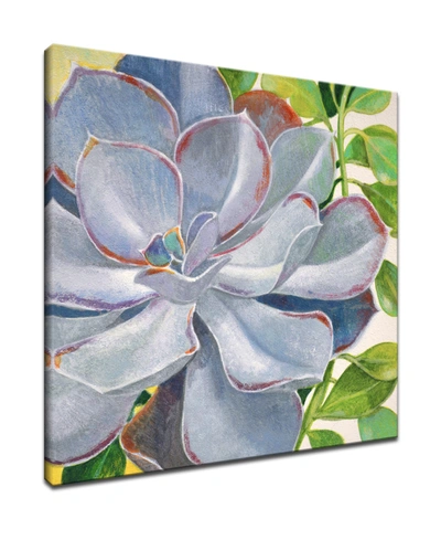 Ready2hangart 'botanical Bliss Iii' Floral Canvas Wall Art, 30x30" In Multi