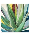 Ready2hangart 'botanical Bliss I' Floral Canvas Wall Art, 30x30" In Multi