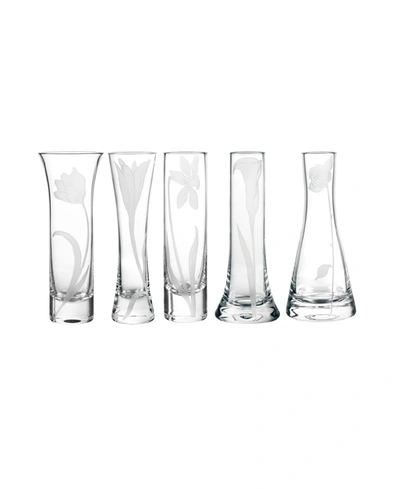 Qualia Glass Bouquet Glass Budvases, Set Of 5