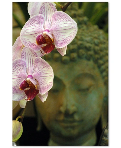 Trademark Global Orchids And Buddha By Kurt Shaffer Canvas Art In No Color