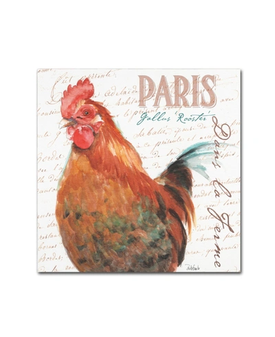 Trademark Global Jennifer Redstreake 'dans La Ferme Rooster I' Canvas Art In No Color