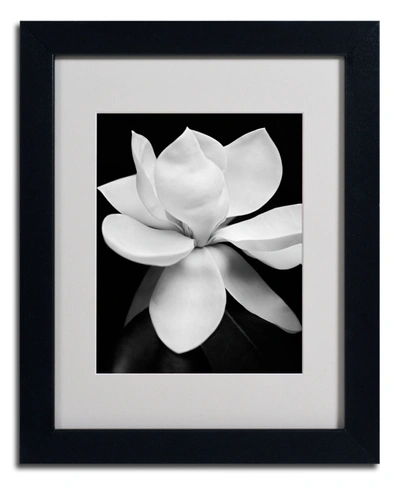 Trademark Global Michael Harrison 'magnolia' Matted Framed Art