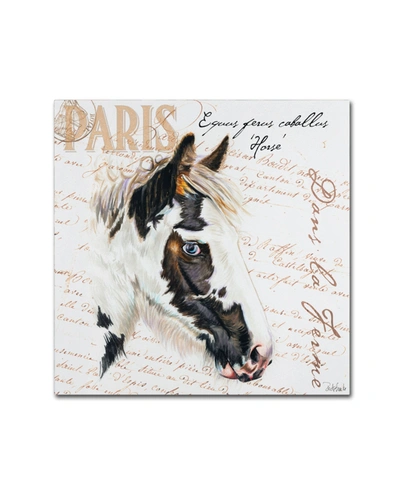 Trademark Global Jennifer Redstreake 'dans La Ferme Horse' Canvas Art In No Color