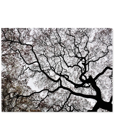 Trademark Global Kurt Shaffer 'japanese Maple Spring Abstract Ii' Canvas Art In No Color