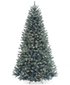 National Tree Company 7.5' North Valley Spruce Blue Hinged Christmas Tree With 700 Clear Lights