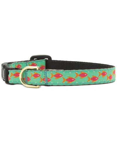 Up Country Cat Collar In Fish