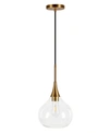 Hudson & Canal Ida Glass Pendant In Brass