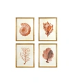 CREATIVE CO-OP INC WOOD FRAMED WALL ART WITH RED SHELLS AND CORAL, SET OF 4