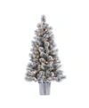 STERLING 4.5-FOOT HIGH FLOCKED PRE-LIT MIXED NEEDLE BOISE PINE IN SILVER BUCKET