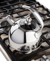 Viking 2.5-quart Stainless Steel Kettle In Stainless Steel
