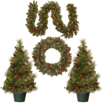 National Tree Company National Tree Promotional Assortment With Battery Operated Led Lights In Green