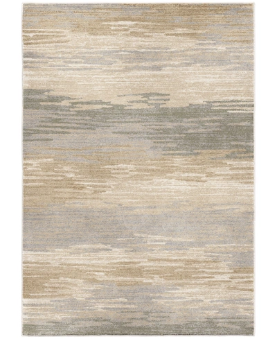 Palmetto Living Riverstone Distant Meadow Bay Beige 9 'x 13' Area Rug