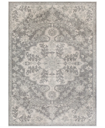 Surya Harput Hap-1070 Light Gray 7'10" X 10'3" Area Rug