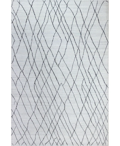 Bb Rugs Closeout!  Land Lnd-06 Gray 3'6" X 5'6" Area Rug In Grey