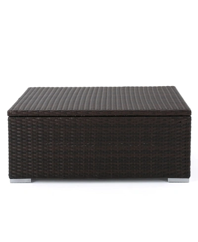 Noble House Faviola Outdoor Storage Coffee Table In Dark Brown