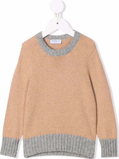 Siola Babies' Two-tone Crewneck Sweater In 中性色