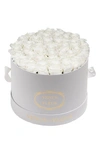 Venus Et Fleur Classic Large Round Eternity Roses In Pure White