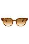 Ray Ban 50mm Cat Eye Sunglasses In Yellow Havana/ Brown Gradient