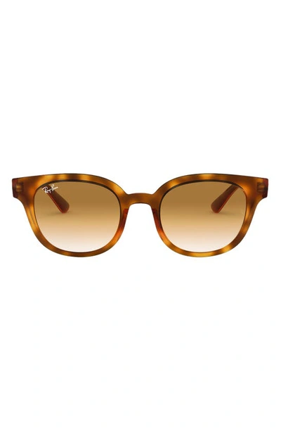 Ray Ban 50mm Cat Eye Sunglasses In Yellow Havana/ Brown Gradient