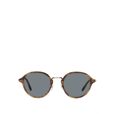 Giorgio Armani Ar8139 Brown Tortoise Male Sunglasses
