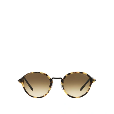 Giorgio Armani Ar8139 Havana Male Sunglasses