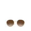 Ray Ban Unisex Ray-ban Rb3681 Arista Unisex S