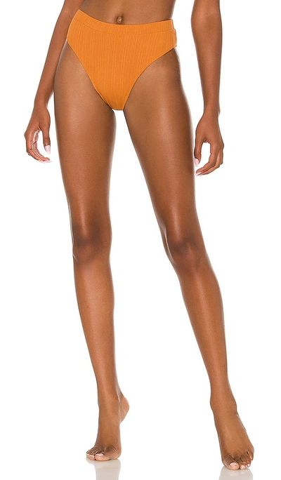 Aro Swim Aleesh Bikini Bottom In Terracotta