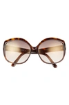 Tom Ford 56mm Round Sunglasses In Dhav/ Brng