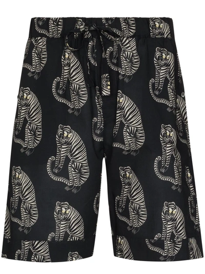 Desmond & Dempsey Sansindo Tiger-print Cotton Pyjama Shorts In Black
