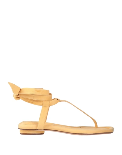 Alexandre Birman Toe Strap Sandals In Yellow