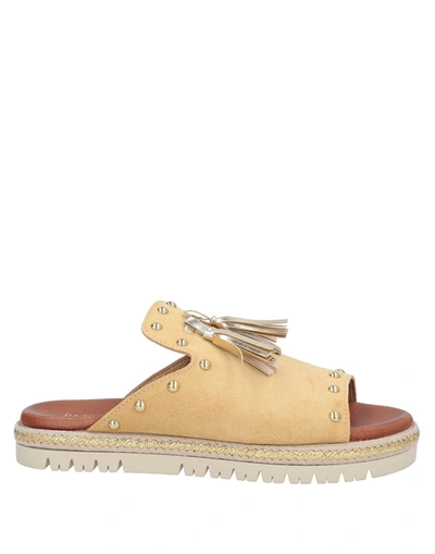 Carlo Pazolini Espadrilles In Beige